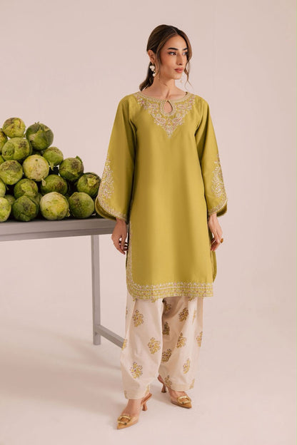 Embroidered Lawn 2Pcs D-73
