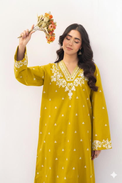 Embroidered Lawn 2Pcs D-50