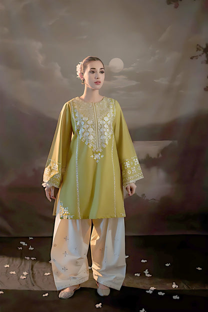 Embroidered Lawn 2Pcs D-59