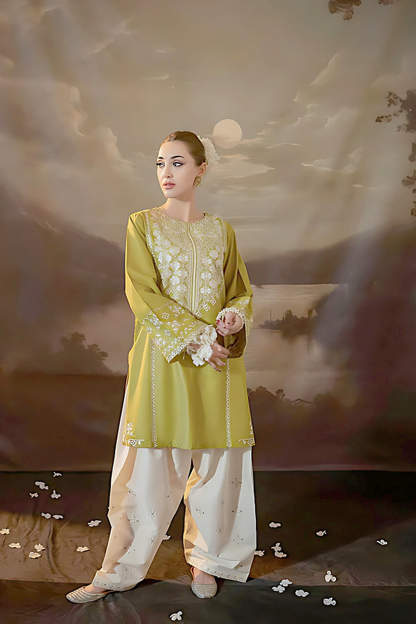 Embroidered Lawn 2Pcs D-59